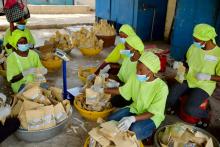 Visite de DG au GIE de Fass Kounoune