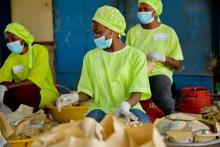 Visite de DG au GIE de Fass Kounoune