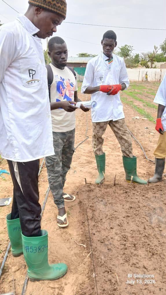 Pôle Diourbel-Louga :L'ONFP à Darou Salam Type: un nouvel élan pour la production maraîchere 
